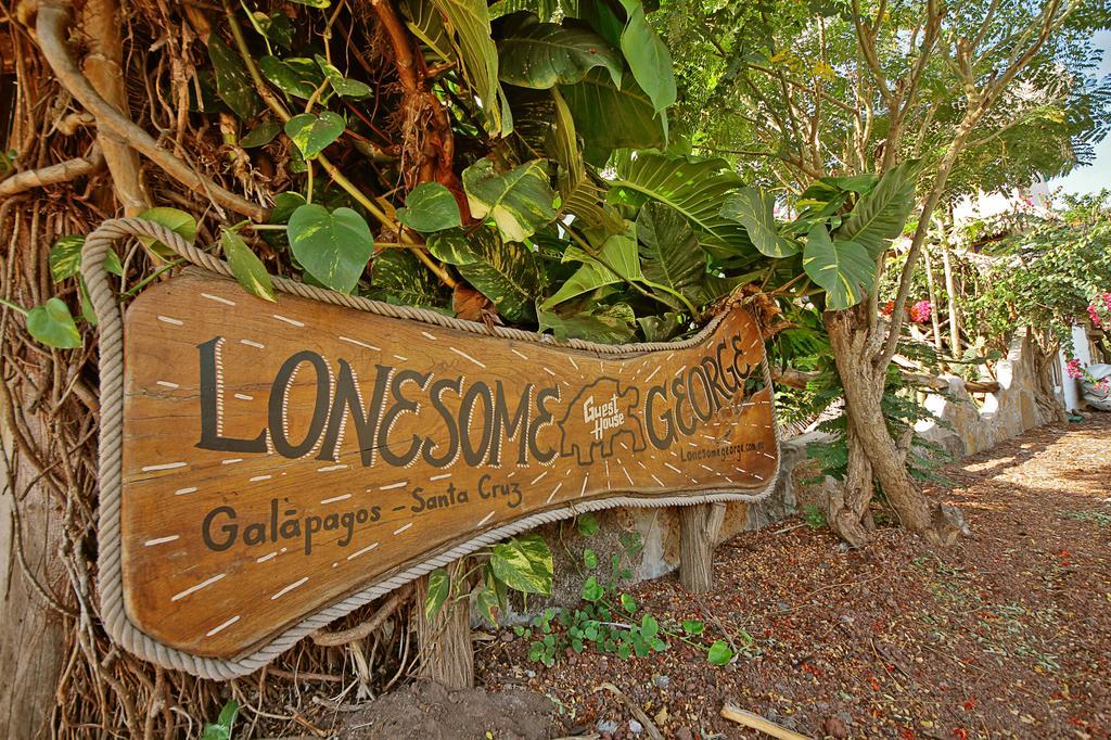 פורטו איורה Lonesome George Ecolodge מראה חיצוני תמונה