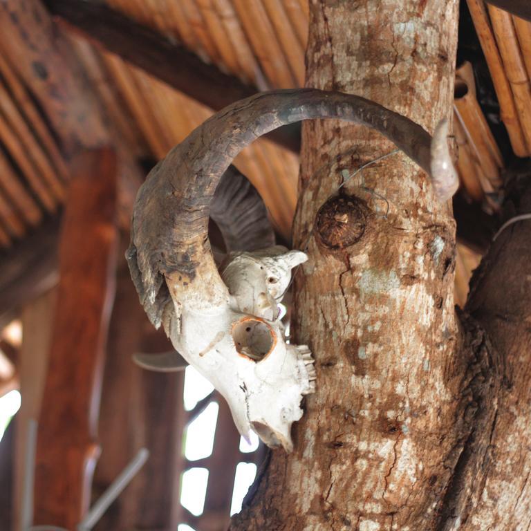 פורטו איורה Lonesome George Ecolodge מראה חיצוני תמונה