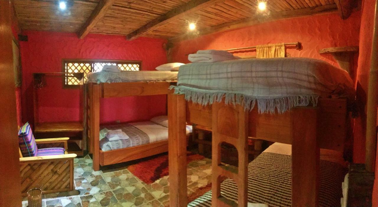 פורטו איורה Lonesome George Ecolodge חדר תמונה